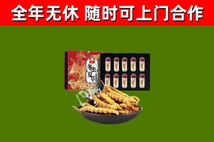 兴国烟酒回收冬虫夏草礼盒.jpg
